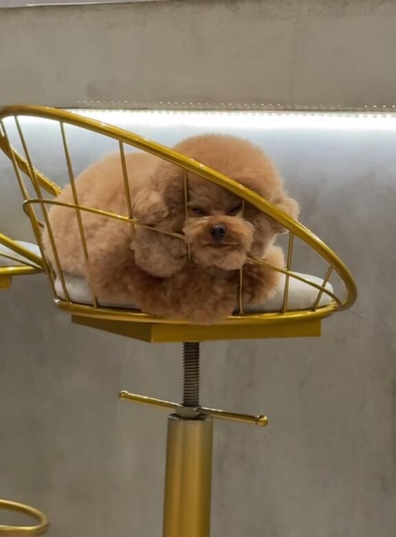 本日出勤&#9825;&#9825;