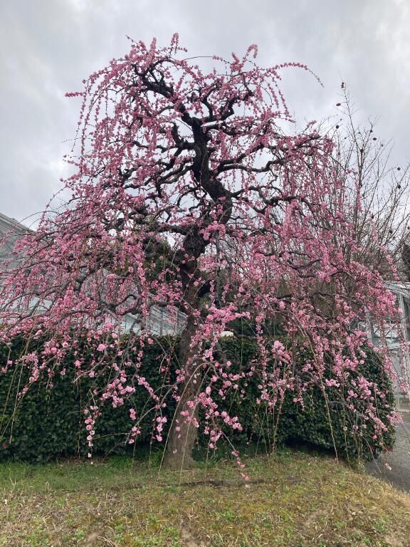 お疲れさまです、