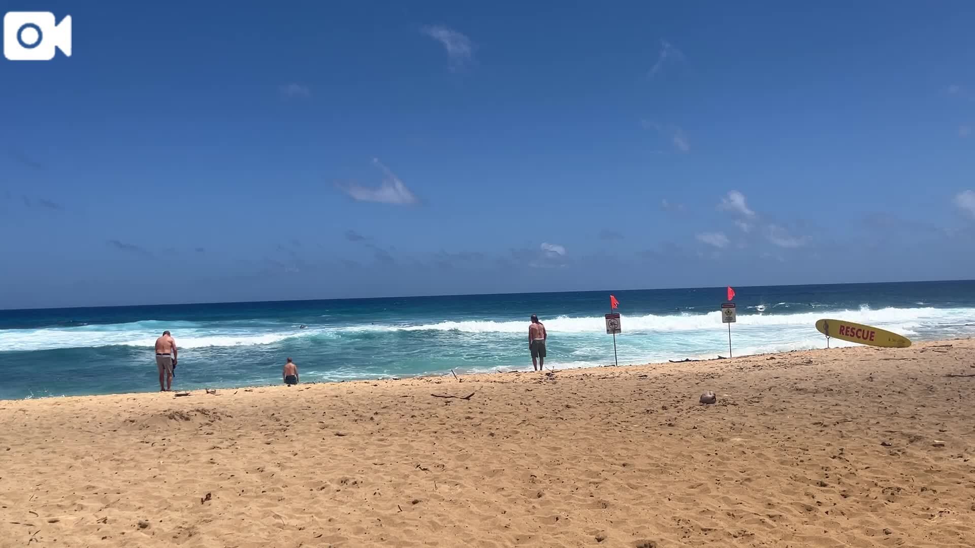 寒いしハワイ行った時の動画見て耐える会