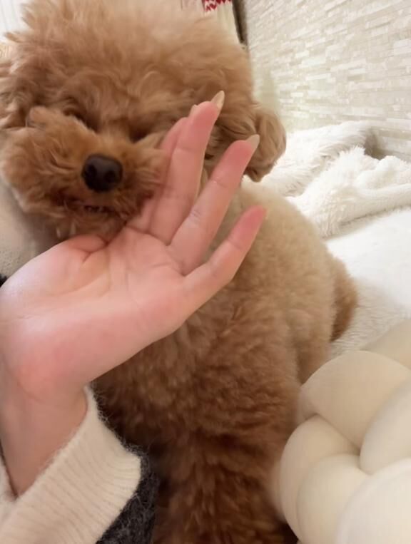 次回出勤予定&#9825;&#9825;