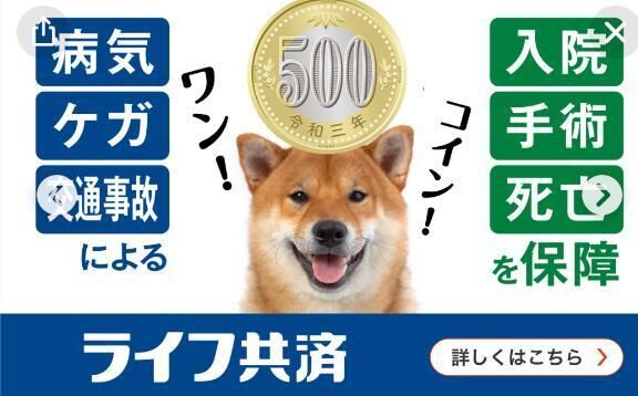 ライフ共済