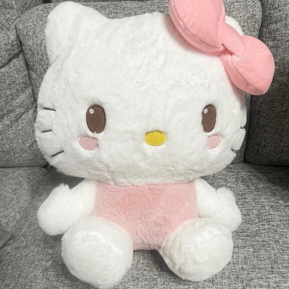 &#128008;&#127872;