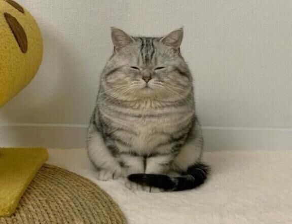 わかんない。