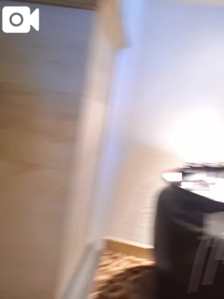 ぽんぽこりんのお腹で夢心地