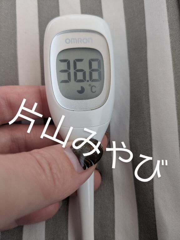 本日の体温(*´Д｀)