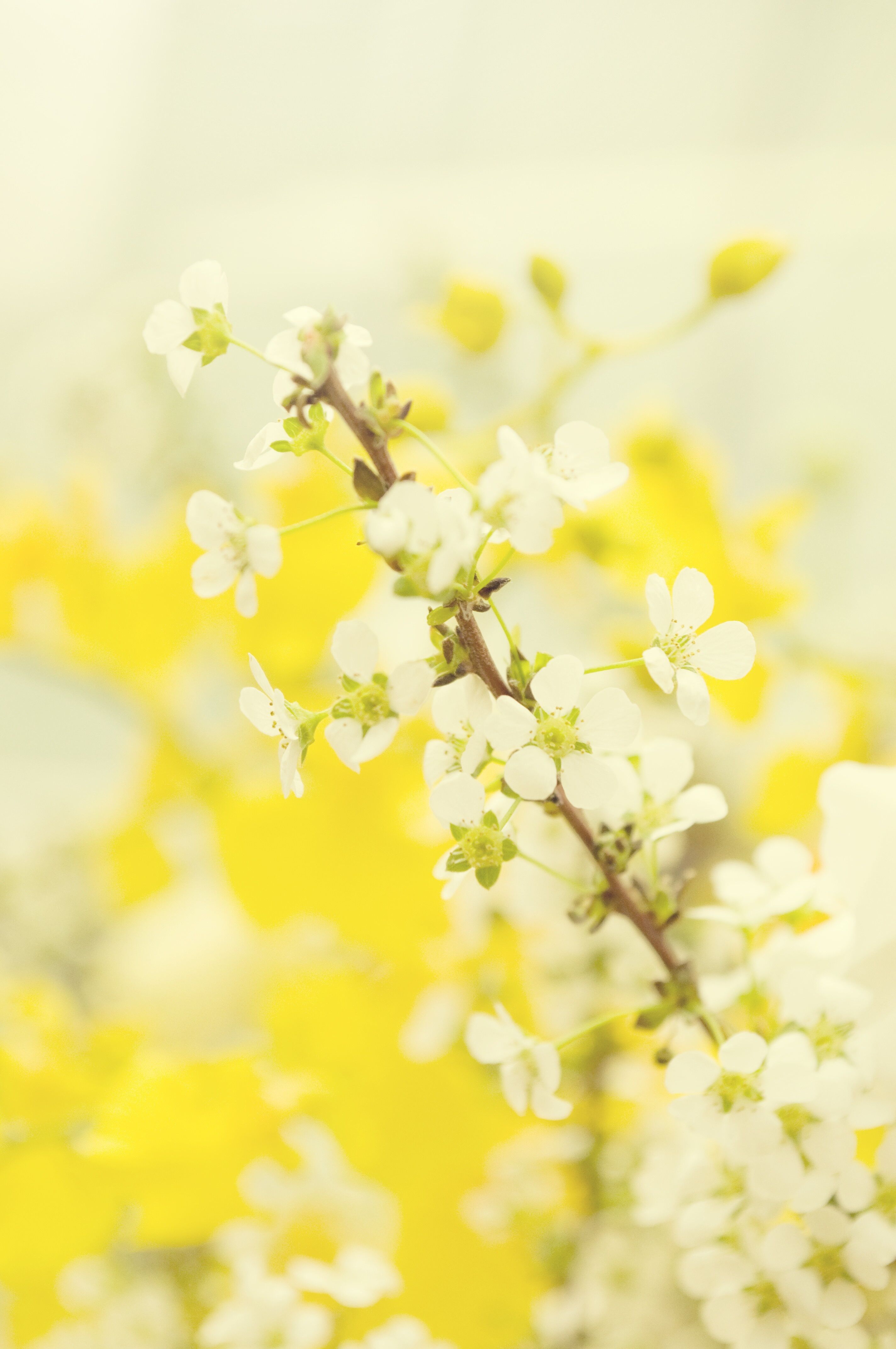 25日(火)　12時　&#9825;様