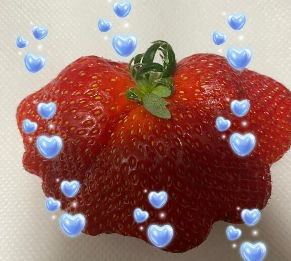 やっほぉ&#x301C;