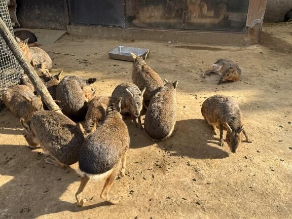 はじめましてのＫさま&#9825;