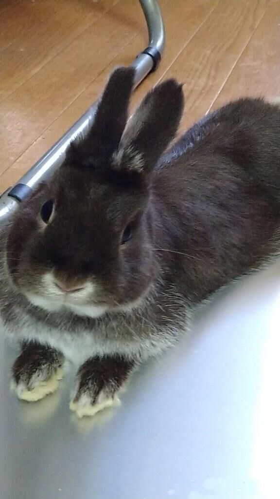有り難うございました。