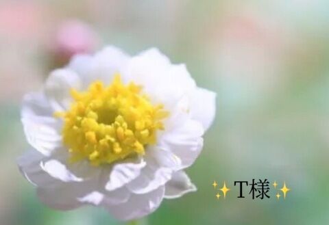 お礼状