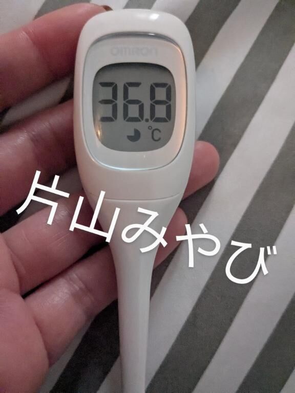 本日の体温(*´Д｀)