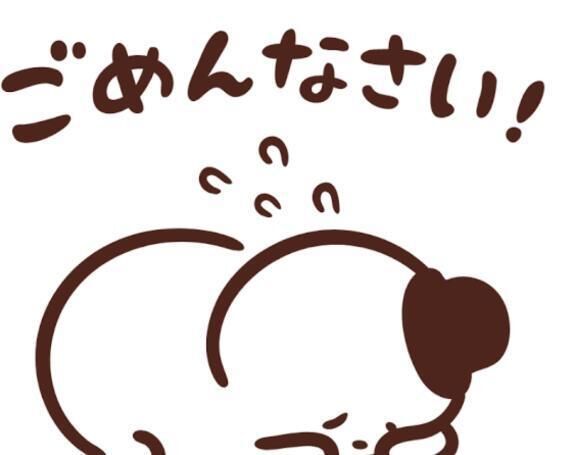 ごめんなさい(_ _;)