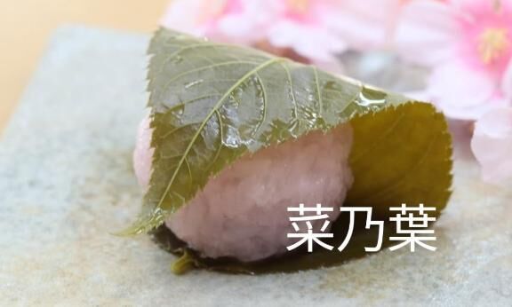 オススメ