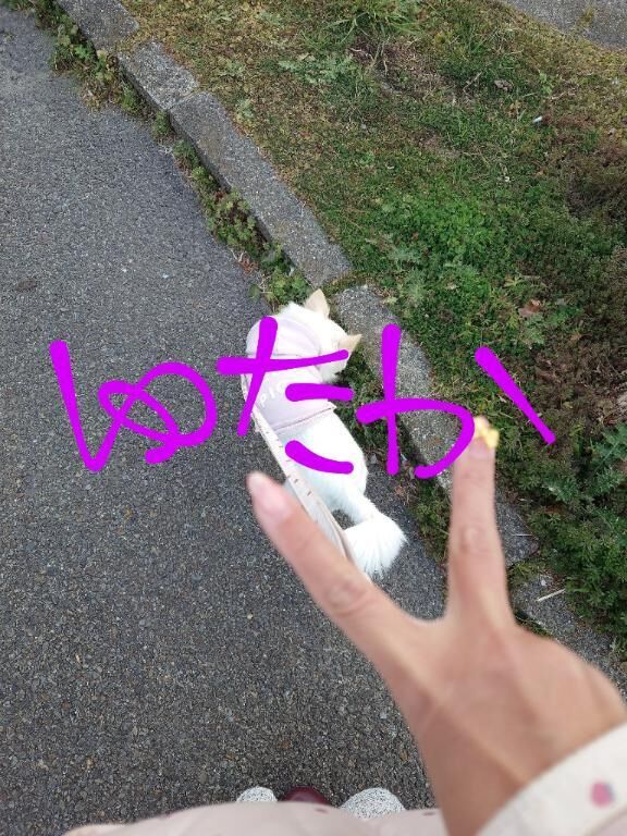 今日のありがとう☆