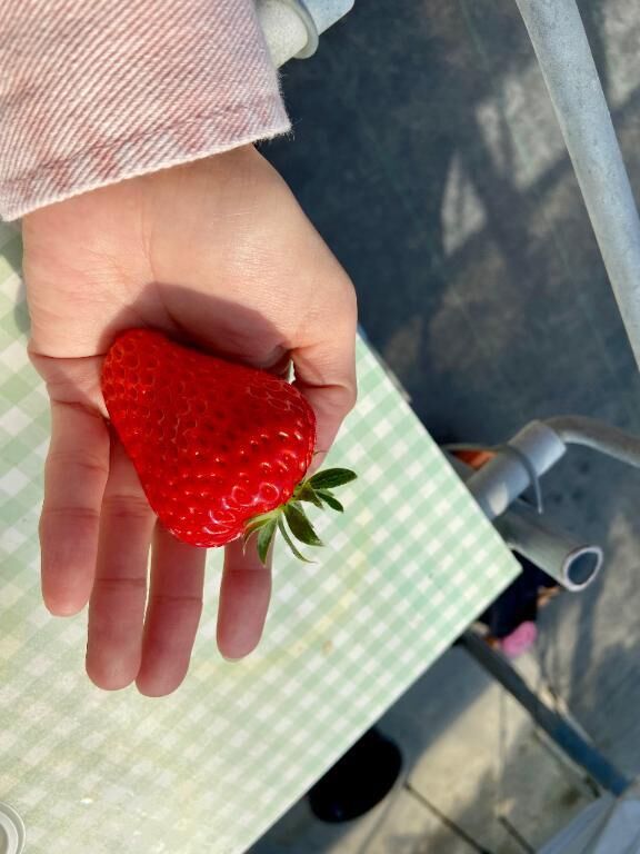 甘かった&#127827;