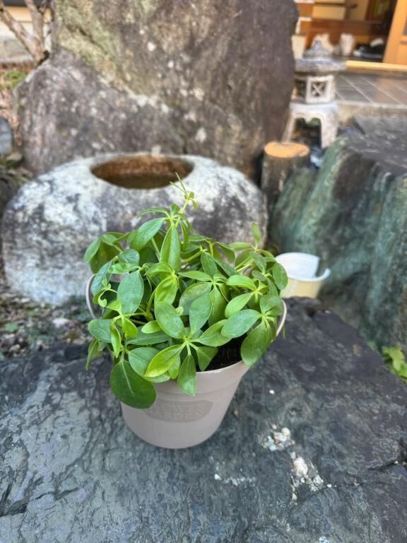 少しづつ