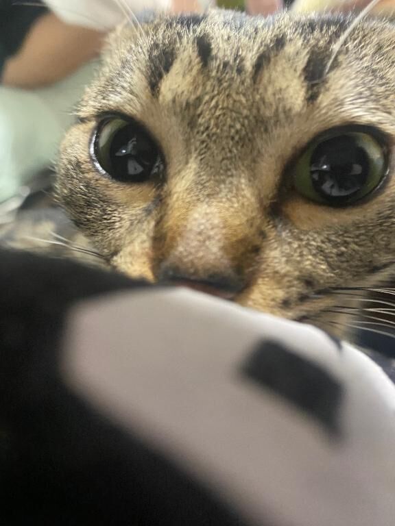無茶はあかん