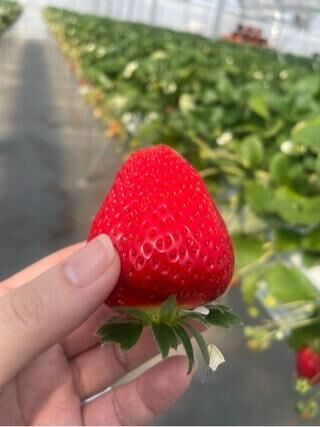 狩り