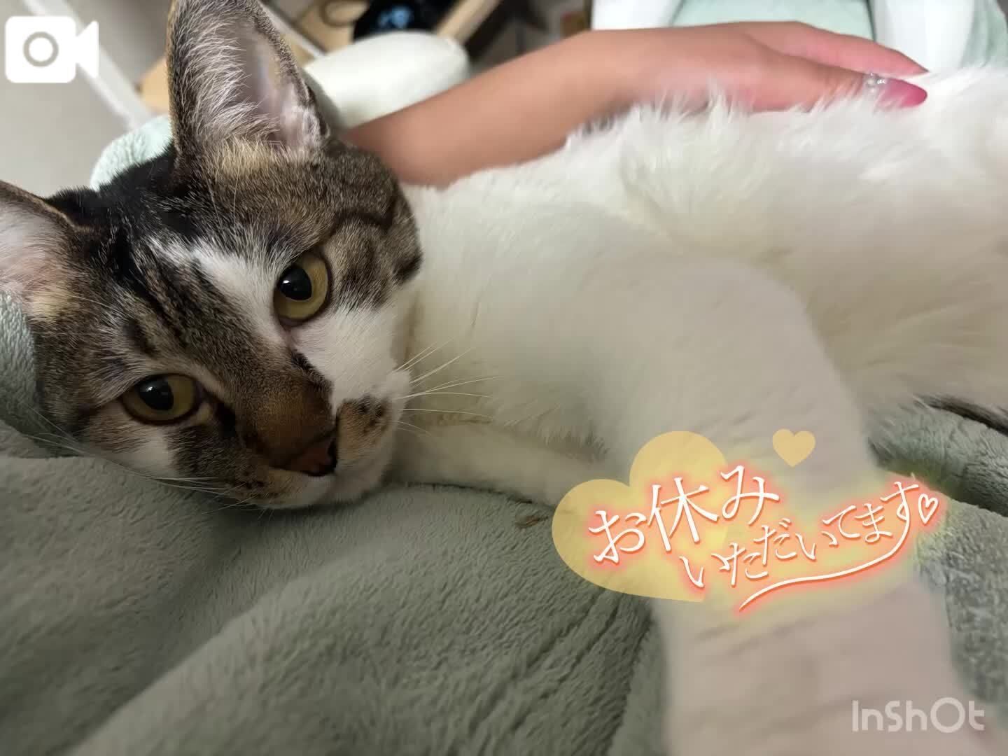 モンハン…♡