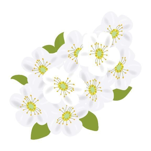 2月28日(金) 17時&#x301C;  殿方様&#9825;