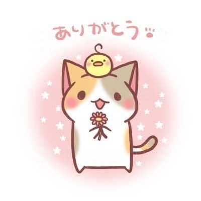 &#127772;ありがとう&#127771;
