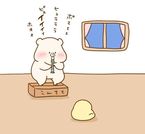 おはようございます(´・ω・`)