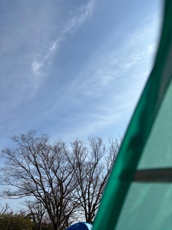 ピクニック日和