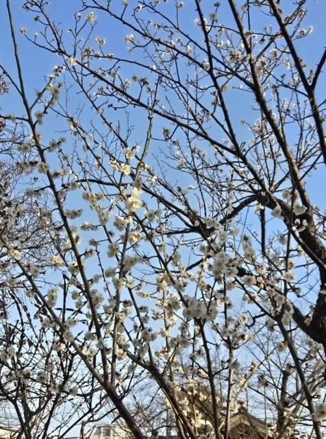 まりんです♪