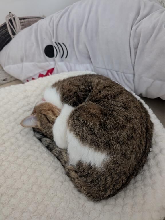 ごめんなさい&#9825;