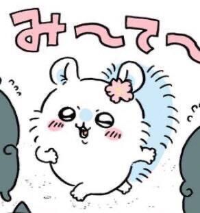 自己紹介&#128587;&#127995;&zwj;♀&#65039;&#128172;