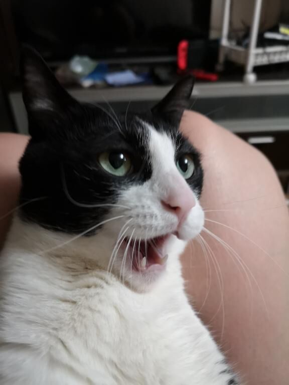 大変だぁ&#128560;