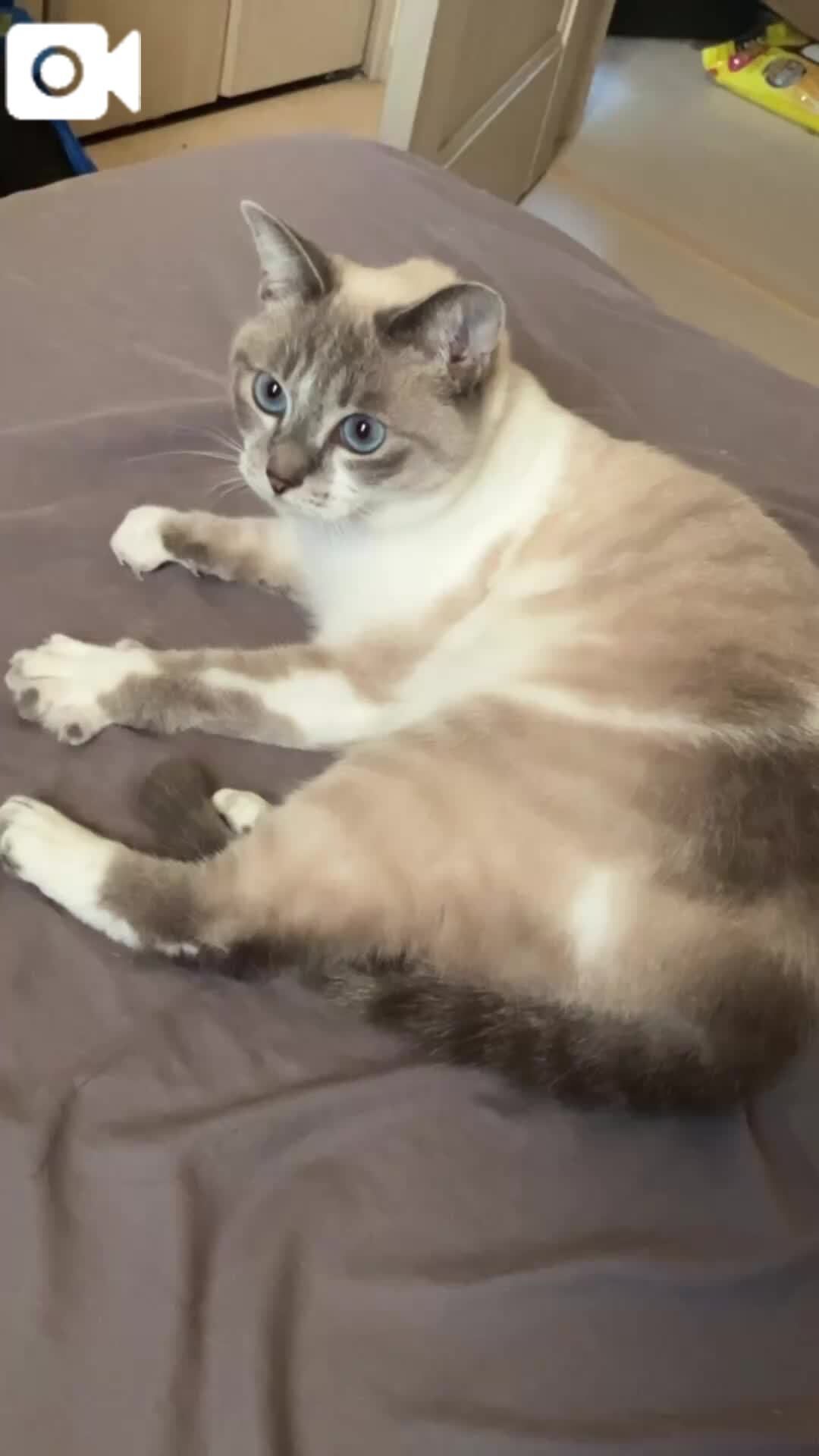 気をつけて欲しいこと&#129402;