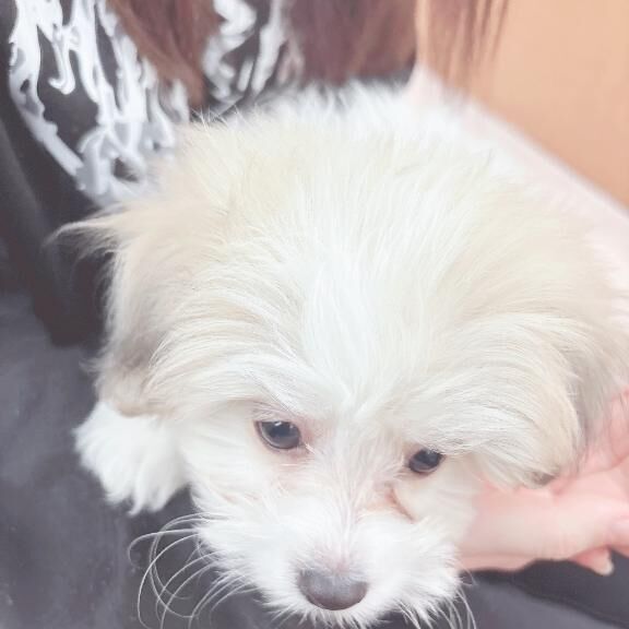 &#42160;&#5153;&#11805;&#11805;&#666;&#820;&#822;&#823;&#823;&middot;&#666;&#820;&#822;&#823;&#823;&#11805;&#11805;&#42161;&hearts;