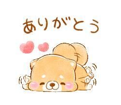 本日のお礼&#128522;