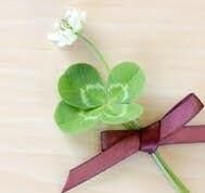 徒然なるままに&#9825;