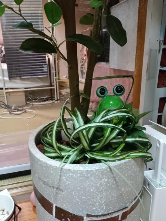 偏頭痛