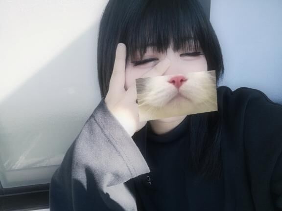 さては強い？