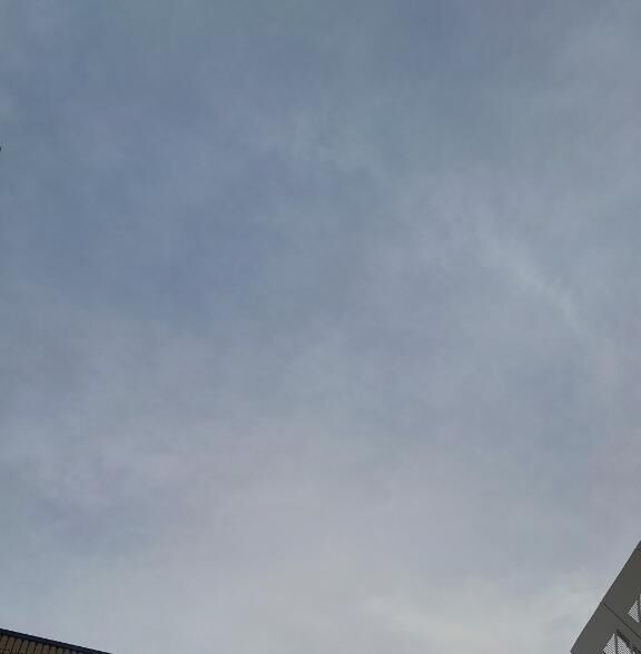 良きお天気？