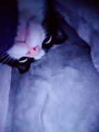 準備!
