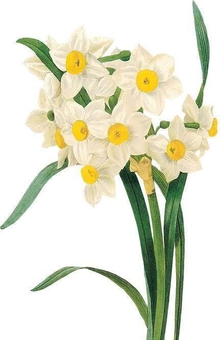 3月6日(木) 17時&#x301C;　殿方様&#9825;