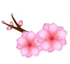 3月6日(木) 19時半〜 殿方様♡