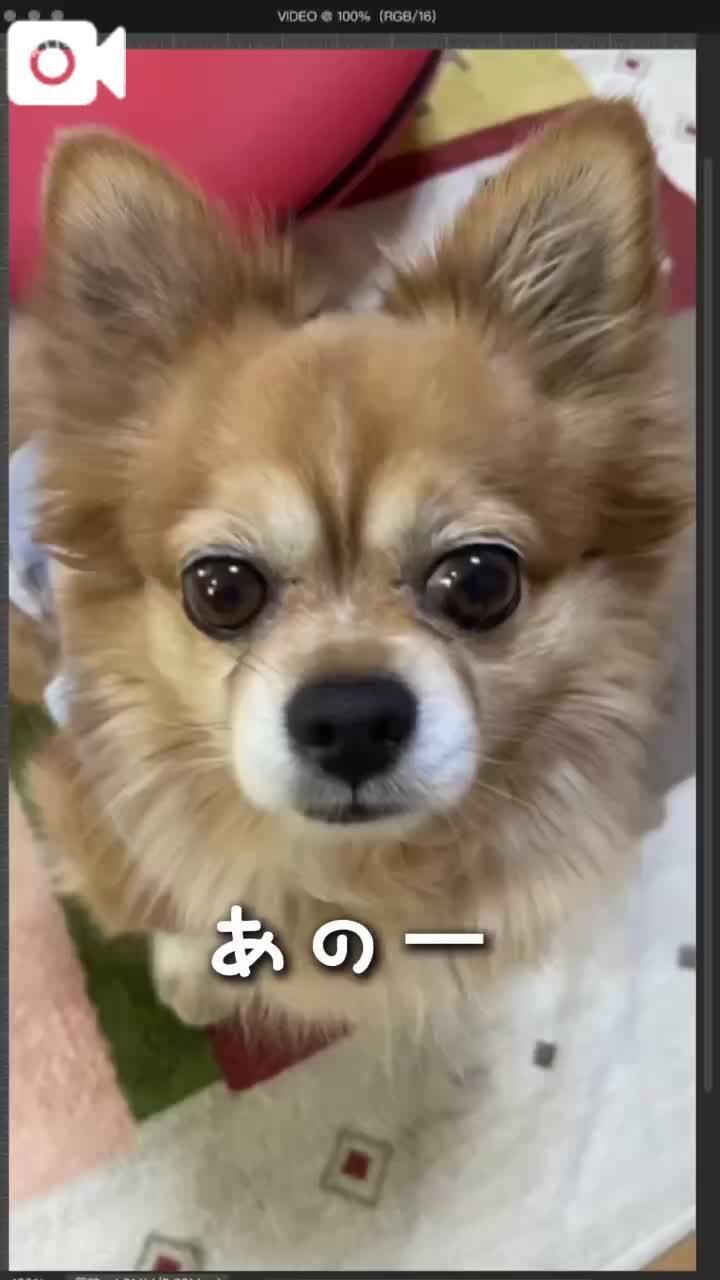 久しぶりヽ(*'▽'*)ﾉ