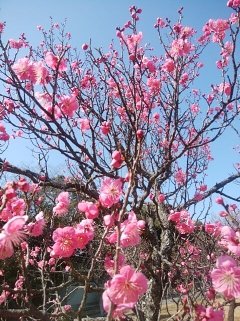 出没報告ヾ(^▽^)ﾉ