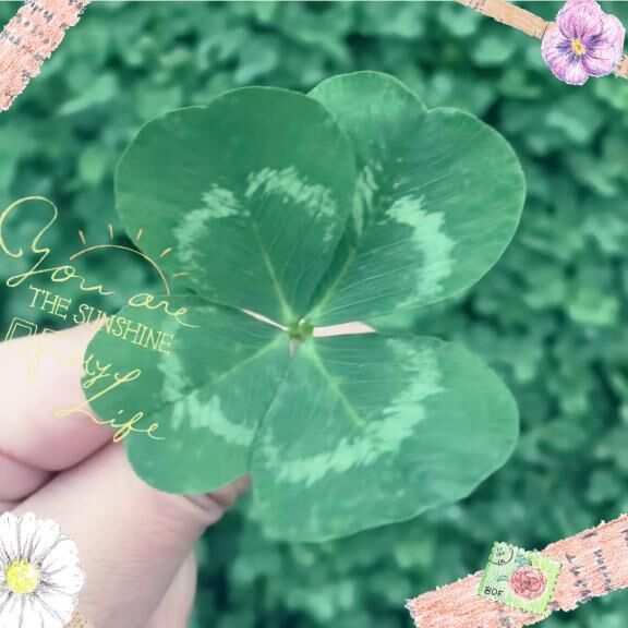 風が&#9825;