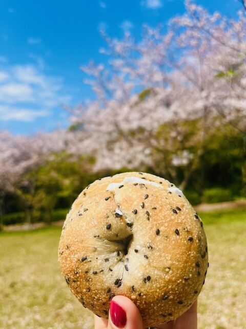 おはよう(*´-`)