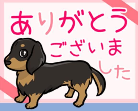 P指様、ありがとう