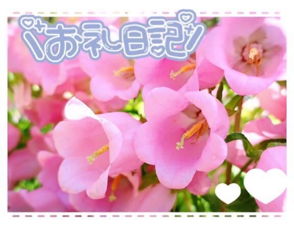 &#x301C;感謝・Ｔ様&#x301C;　3\,7