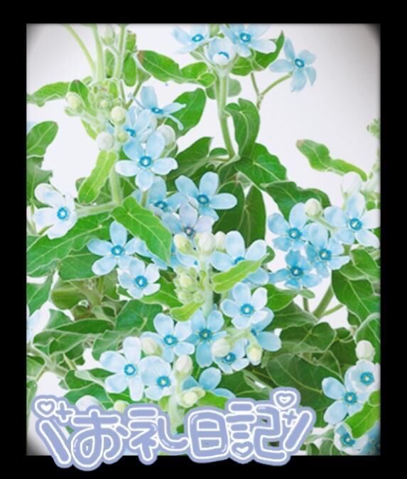 &#x301C;感謝・Ｈ様&#x301C;　3\,8