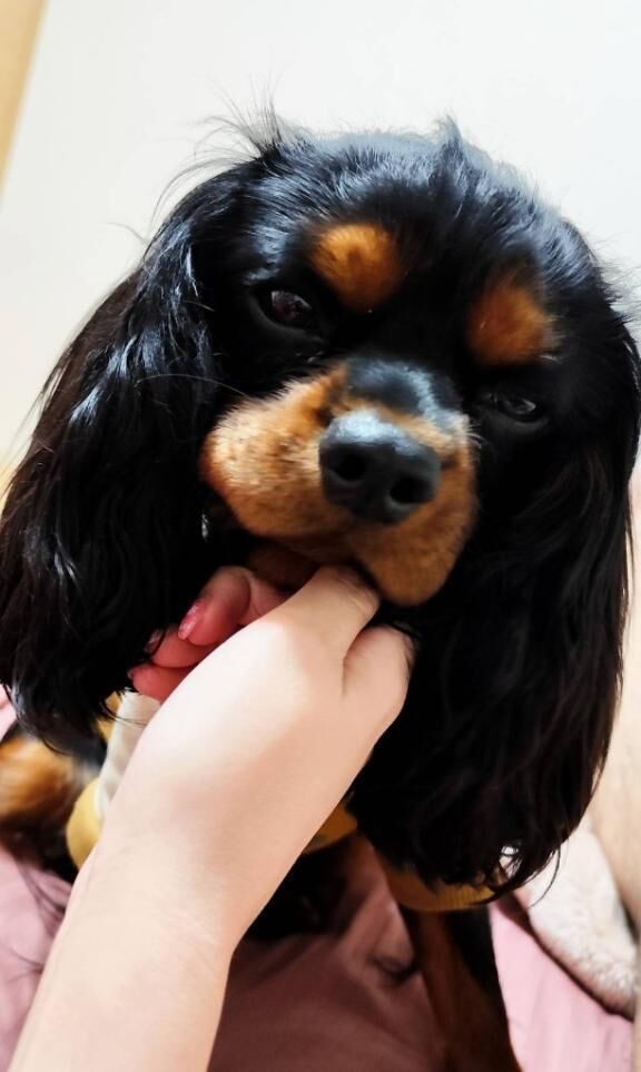 ごめんなさい&#128557;