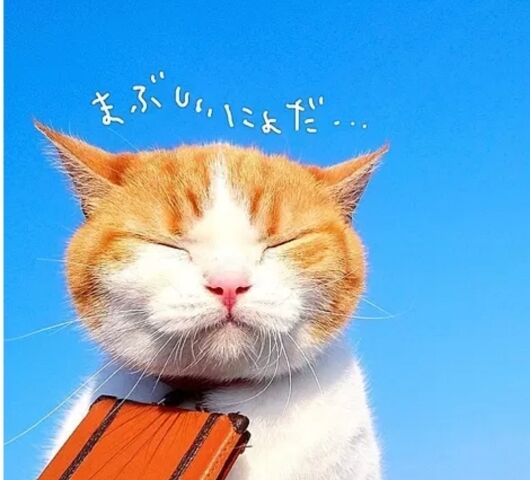 (&#1374;&#11805;&#11805;o&#820;&#822;&#823;&#805;&#7621; &#8977; o&#820;&#822;&#823;&#805;&#7621;&#11805;&#11805;&#1374;)